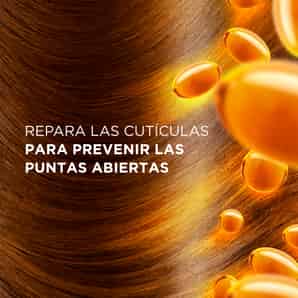 Shampoo 2 en 1 Restauración Pantene Pro-V